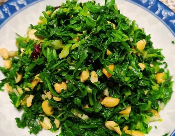 肺结核咯血|这3种野菜清热解暑,做法多种多样,这样做好吃,你吃对了吗!