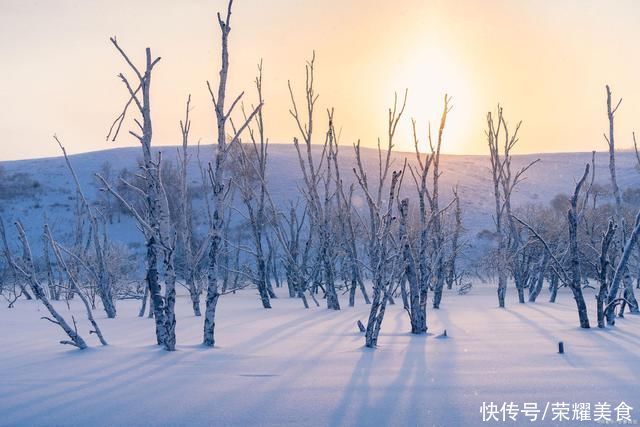  黑色|大雪节气后，这5种黑色食材要多吃，虽不起眼却营养好，别错过了