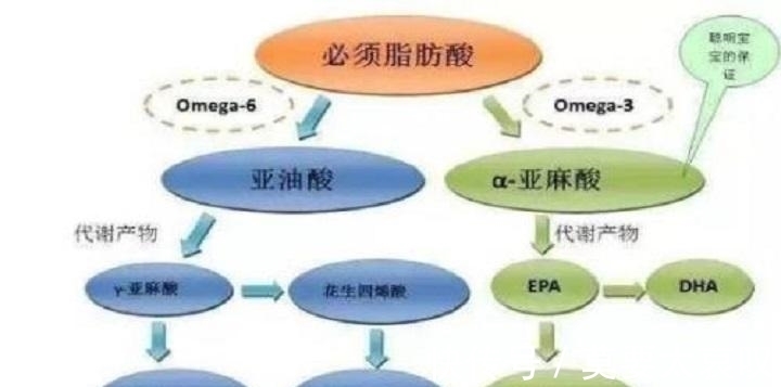 哈佛公共卫生学院|一把南瓜子，清除人体致癌物、延缓衰老，助睡眠还养颜