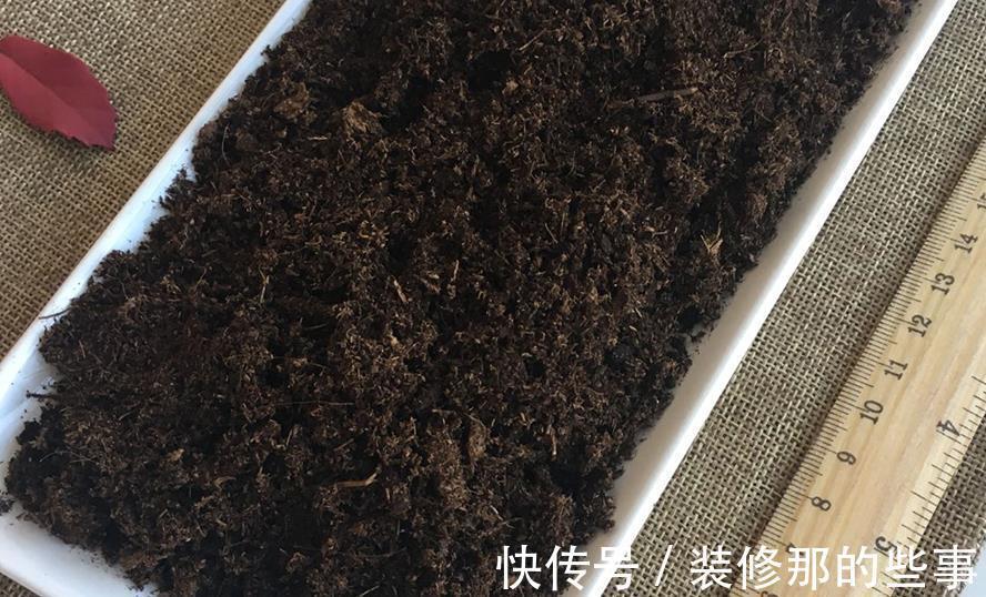 花草|在城里养花,盆栽旧土不丢,这么一处理,比刚买的新土都好使