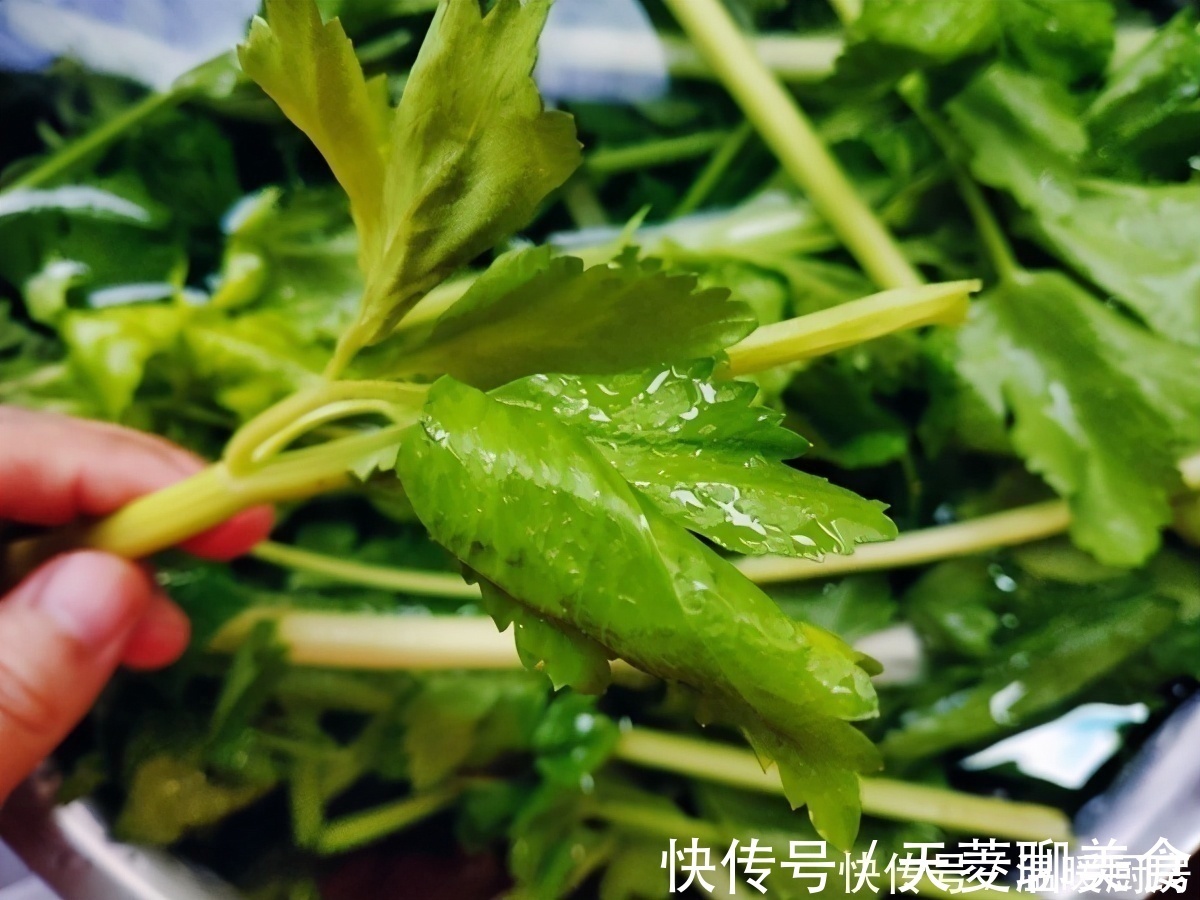 猪肉馅儿|芹菜猪肉馅儿这样调,放一夜都不出水,包饺子烙馅饼,老香了