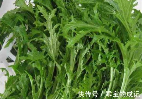 雪里红|想养生得会吃，三种食物每天吃点，可补气血，排湿毒，早吃早好