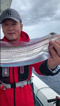 |搞笑GIF:不懂就问,大家快来看看,这孩子是什么级别的