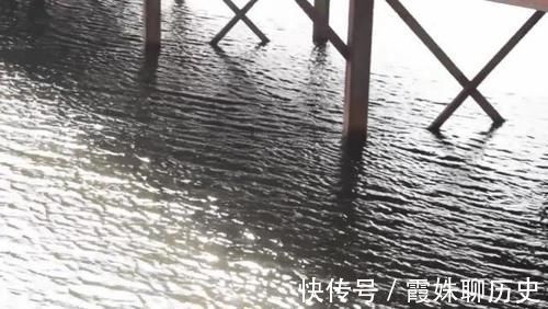 钓位钓位|为什么说夏天的钓位很好找因为就这2个地方，找不到的都是小白