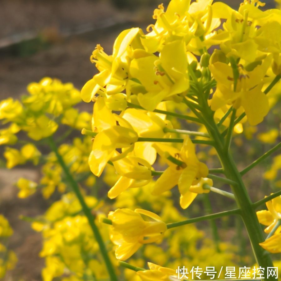 吉祥运|哪些日子出生的人，命中富贵吉祥运，目前好事多磨，坚持就有福报