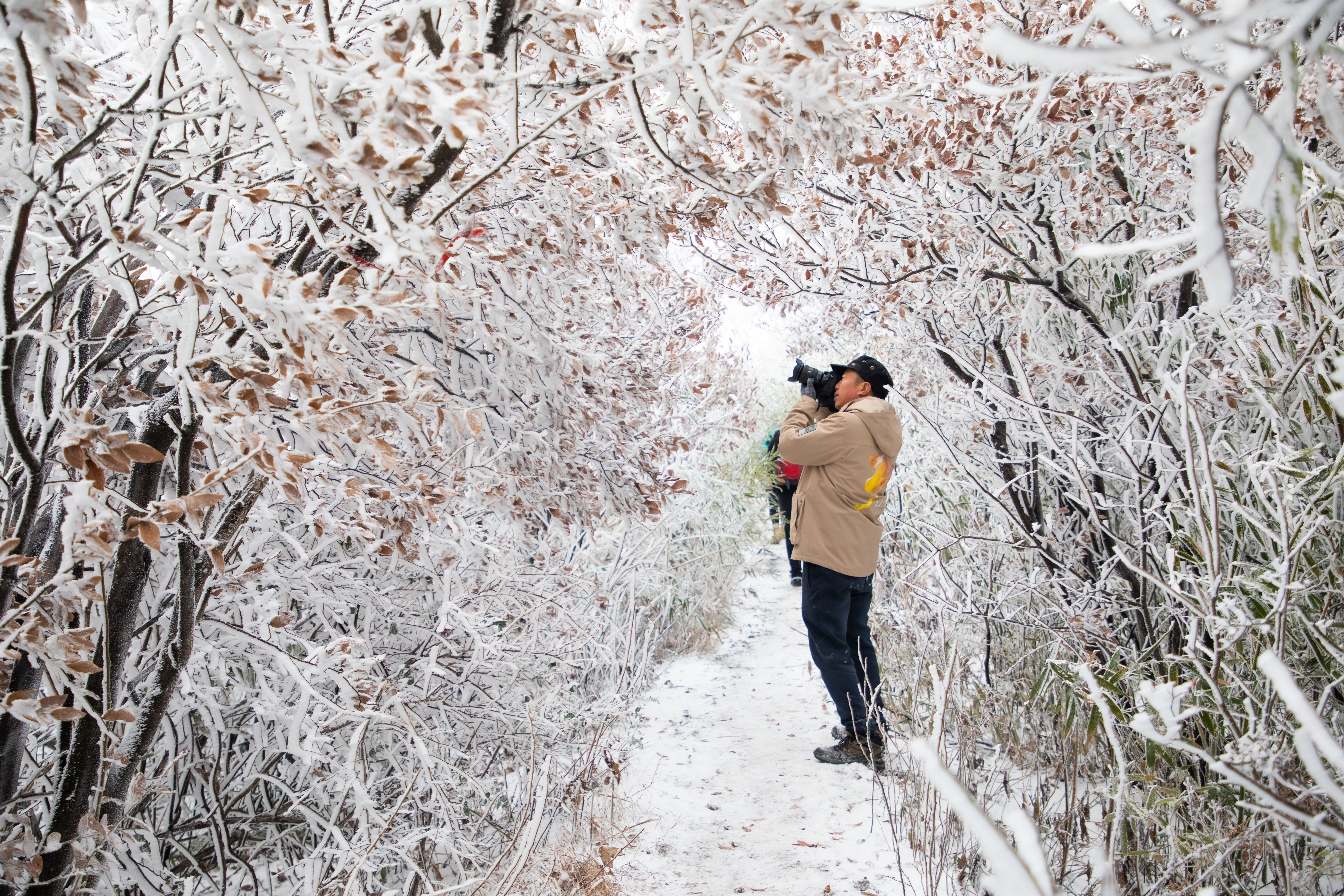 雾凇|冰花弥漫 上下一白 永康大寒山雪后雾凇惊艳