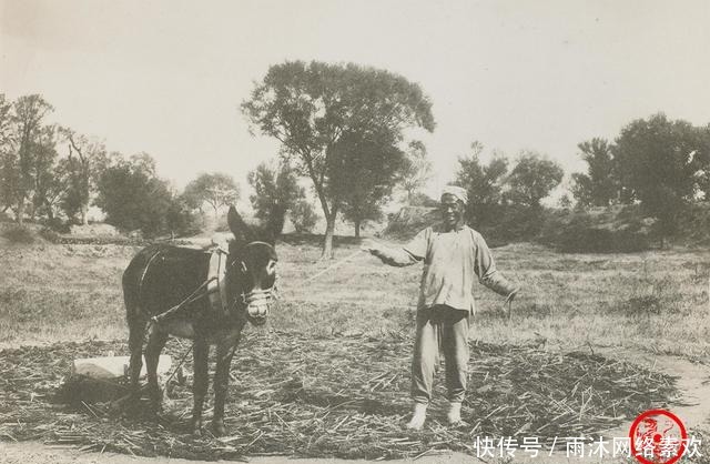 骡子|慈禧时代老照片:贵妇吸鸦片 骡子抬轿