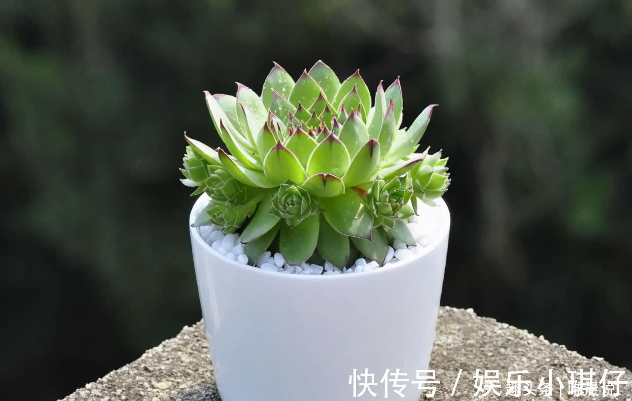 炫耀!不炫耀,是一种智慧