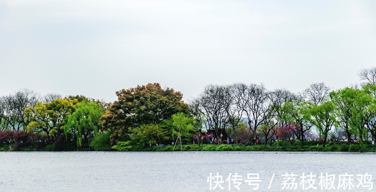 且行且珍惜|未觉池塘春草梦，阶前梧叶已秋声。时不我待，且行且珍惜