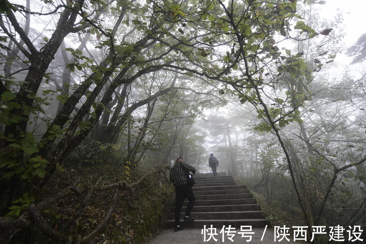 黄山|薄云浓雾游黄山宛若仙境【严建设】