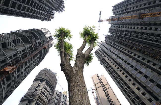 房子|一楼和顶楼的房子不好？建筑学家直言：这三类楼层更应该避开