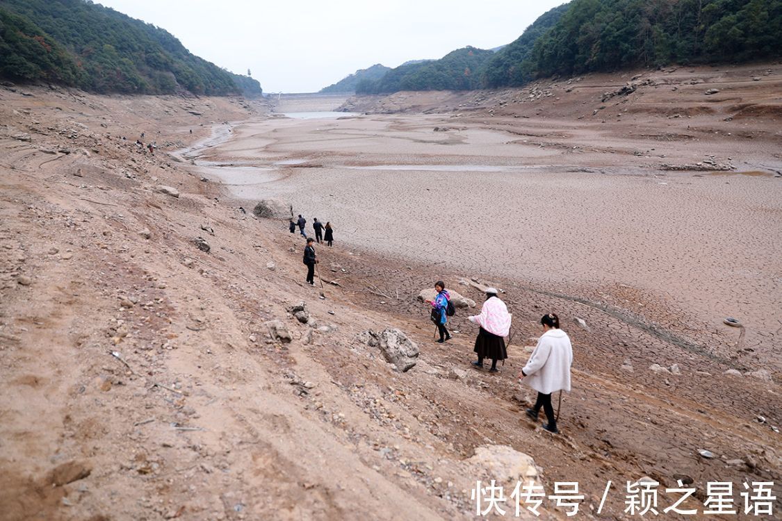 水库|淹没四十多年的古村遗址，重见天日，红杉林隐秘而迷人