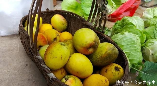 冬天,遇到这水果别手软,多买几个,能生吃能做菜,入口清爽开胃!