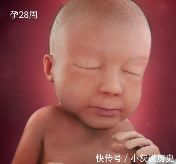 猛涨期|怀孕最后3个月,胎儿发育最快,做好这些小事,宝宝聪明又健康