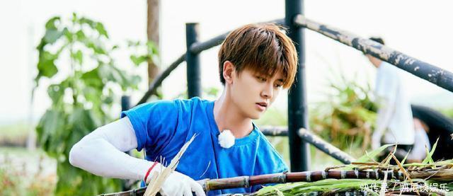 任嘉伦做客《向往的生活》,任劳任怨,发劳动感悟,提升节目品质