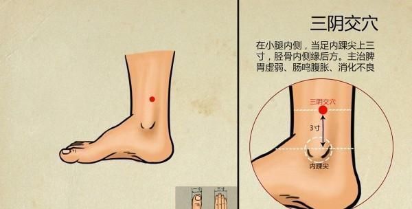 养肝、排毒、保肾,只需每天按摩3个穴位,取穴