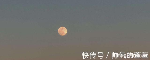 梅花花#冷月清寒,灯光中的思念那么暖