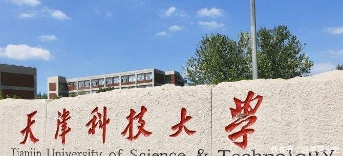 这些大学虽然声名不显，但都是行业翘楚，性价比很高