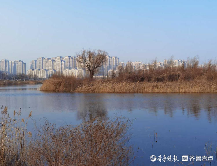 冬日的华山湖微波荡漾！感受这个季节济南独有的韵味|情报站| 华山湖