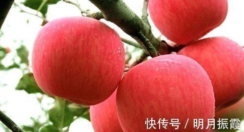 血脂升高|苹果这样吃,“降血脂”效果“翻倍”早知道,血液更“清澈”了