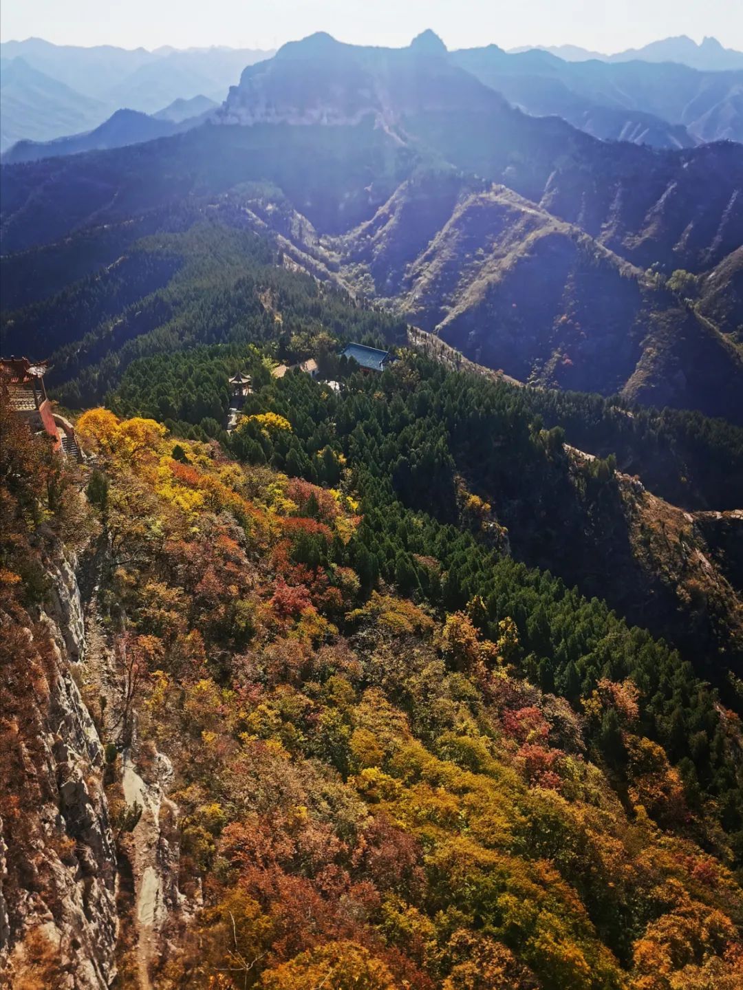 红叶|浓缩了秋日精华，独属于淄博的绚丽如画的山景！看一眼，惊艳一年