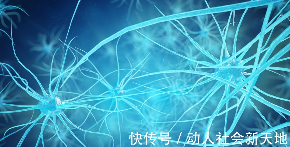 林爷爷|105岁老人血管健康且不堵，长寿诀窍不是少吃肉，而是这“3件事”