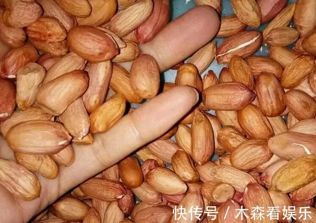 喝水|母女双双患癌，3个月后离世，医生3种食材，怎么能往粥里放