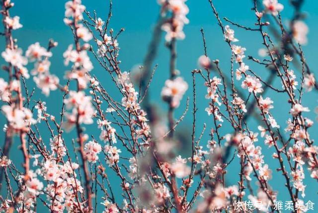 她出身微贱,却纠缠于两位名士之间,因一场官司名噪一时