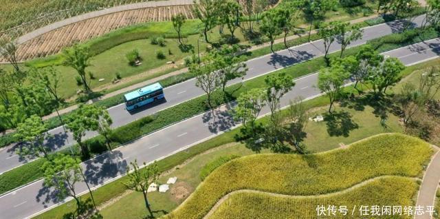  金山银山|「区县解读」南岸不是谁都能拿2个“国家级”