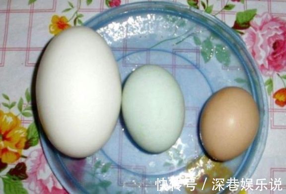 鹅蛋|孕妇吃鹅蛋,对胎儿发育有帮助,那你知道该什么时候吃吗?