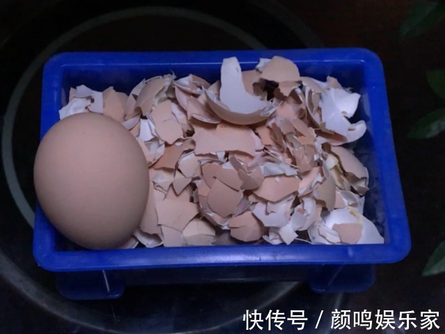 治好|被你傻乎乎丢掉的鸡蛋壳，轻松治好4种病，帮你省下一大笔买药钱