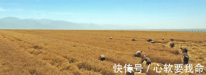 辛亥!小说是一个民族的秘史!白鹿原的故事并不遥远!