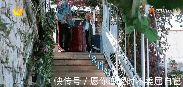 丁真|《中餐厅5》开始录制，黄晓明回归不见龚俊宁静，行李数量是亮点