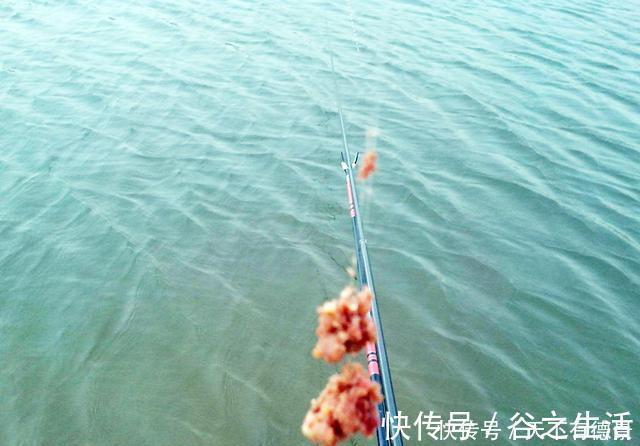 钓鱼|盘点钓鱼当中,让新手钓友比较头疼的问题