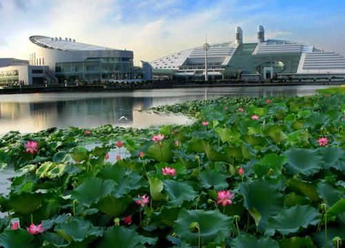 “双一流”大学内部洗牌，第一第二不可撼动，第三名花落谁家？