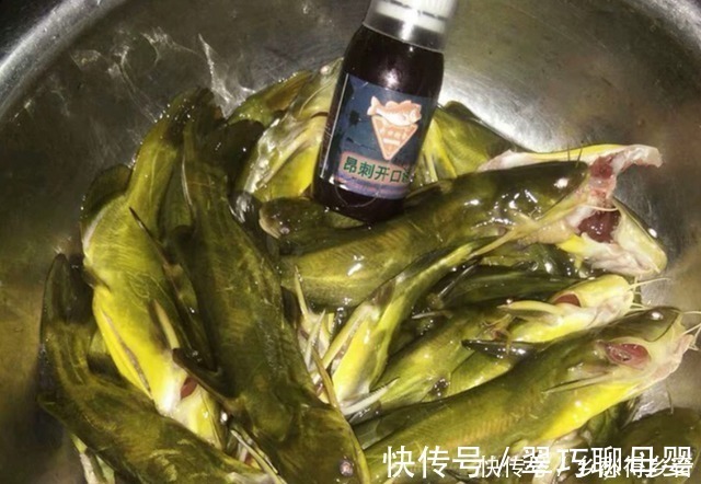 钓黄辣丁最好的饵料,放下去就咬,根本停不下来!