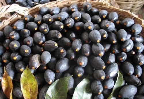 美食|只有两广地区才知道的美食,很多外地人都不知道,不买肉都要买它