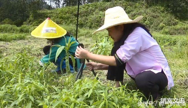 自媒体达人|伍婷慧丈夫生意亏损百万,她靠直播帮助丈夫!还带村民一起致富