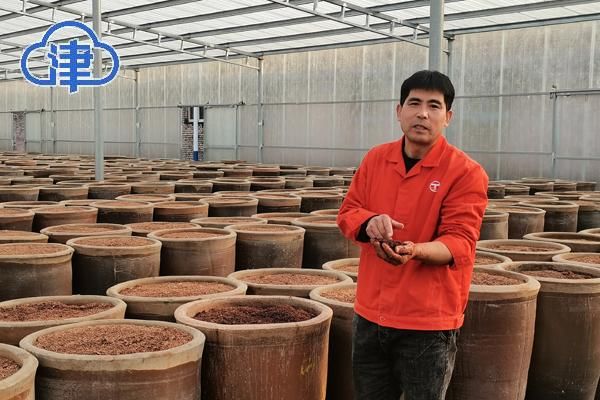 非遗&【千问千寻大运河】行走运河两岸，看天津市静海非遗“惊艳满满”