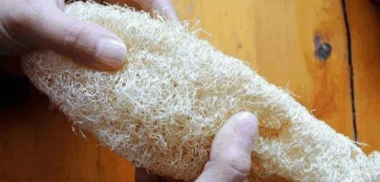 养花换盆时,多“加”1物,花卉“10年”不烂根,叶子绿,开花多