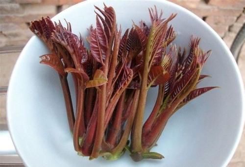 熬夜身体在反抗，以下食物别放过，镇静安神，提高睡眠质量