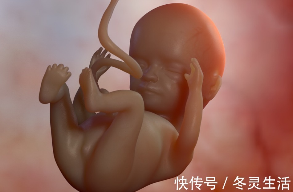 肚子|胎宝在妈妈肚子里都会做啥胎儿“每日工作安排”,笑哭多少孕妈