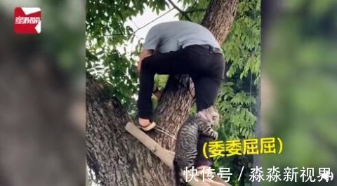 |又可怜又搞笑!猫咪被救时紧抱救援人小腿