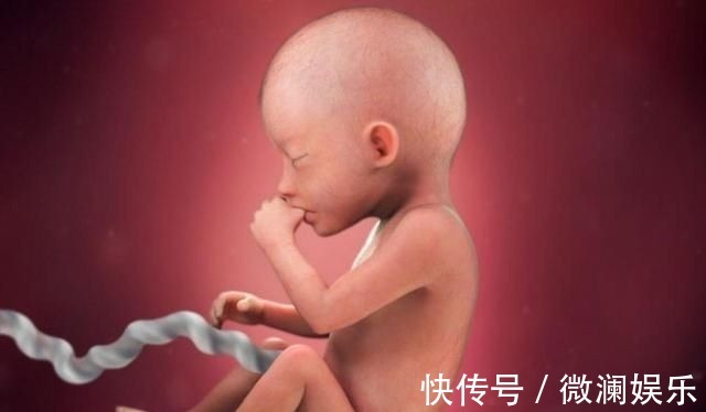 孕妈|组图了解胎儿在子宫中的生长过程,生命太奇妙了!准爸妈们看看