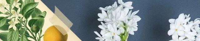 浪漫|拒绝撞香!这些小众香水让你高级又浪漫