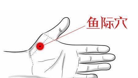 手掌上有5大穴位,平时经常刺激功效可不小,经常按摩还可以治病