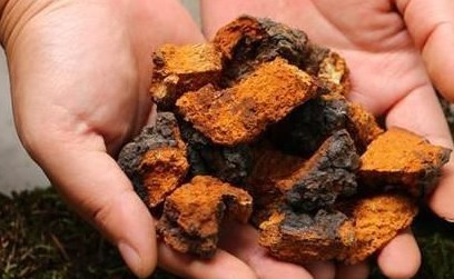 男子|45岁癌症男子，每天一杯“三七粉”，一年后离世