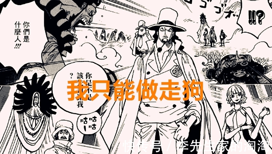 尾田|海贼王1018话:号称800年一遇的天才,实力三灾水平,路奇配吗?