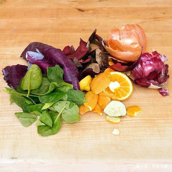 在家里养花时,肥皂水、鸡蛋壳或煮菜的水别丢,是可以用来养花的