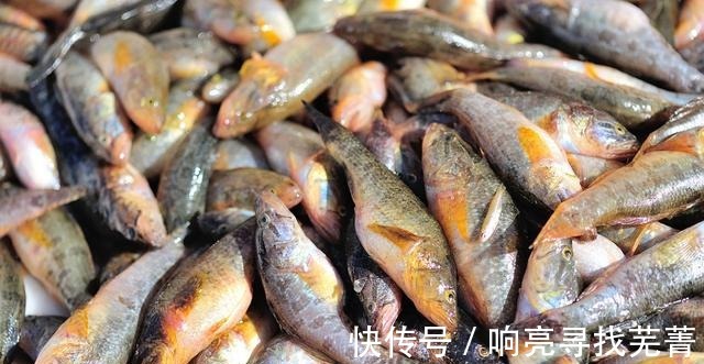 金秋逛农村大集,大葱白菜萝卜土豆热销,山货也很多!